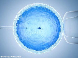 中医妇科